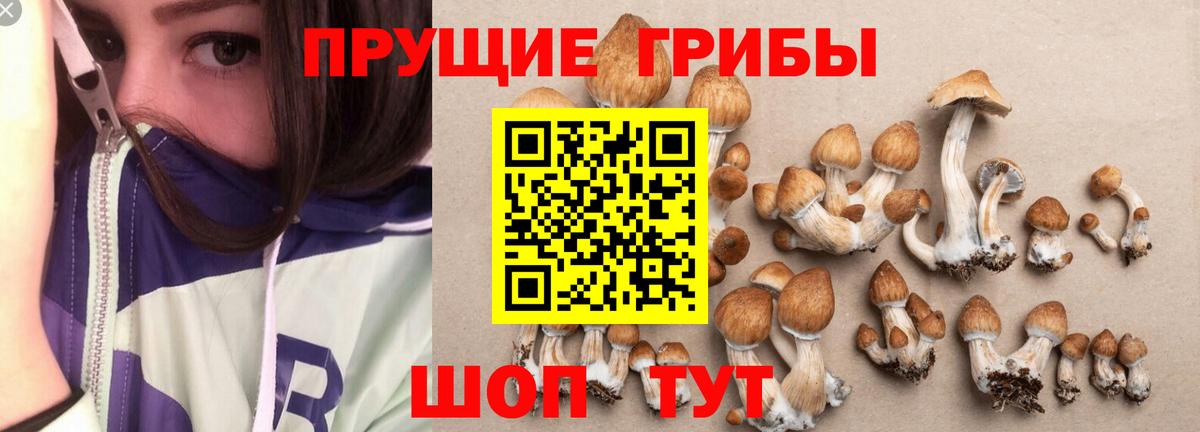 Галлюциногенные грибы Magic Shrooms Ачхой-Мартан